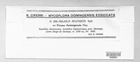 Meliola acutiseta image